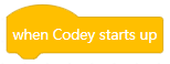 02-when-codey-starts-up